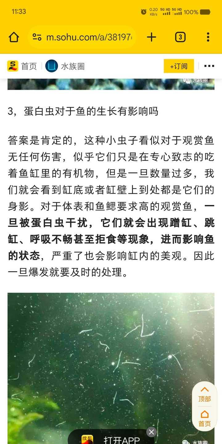 鱼缸很多微小的虫子在水底快速游动，怎么预防和处理？