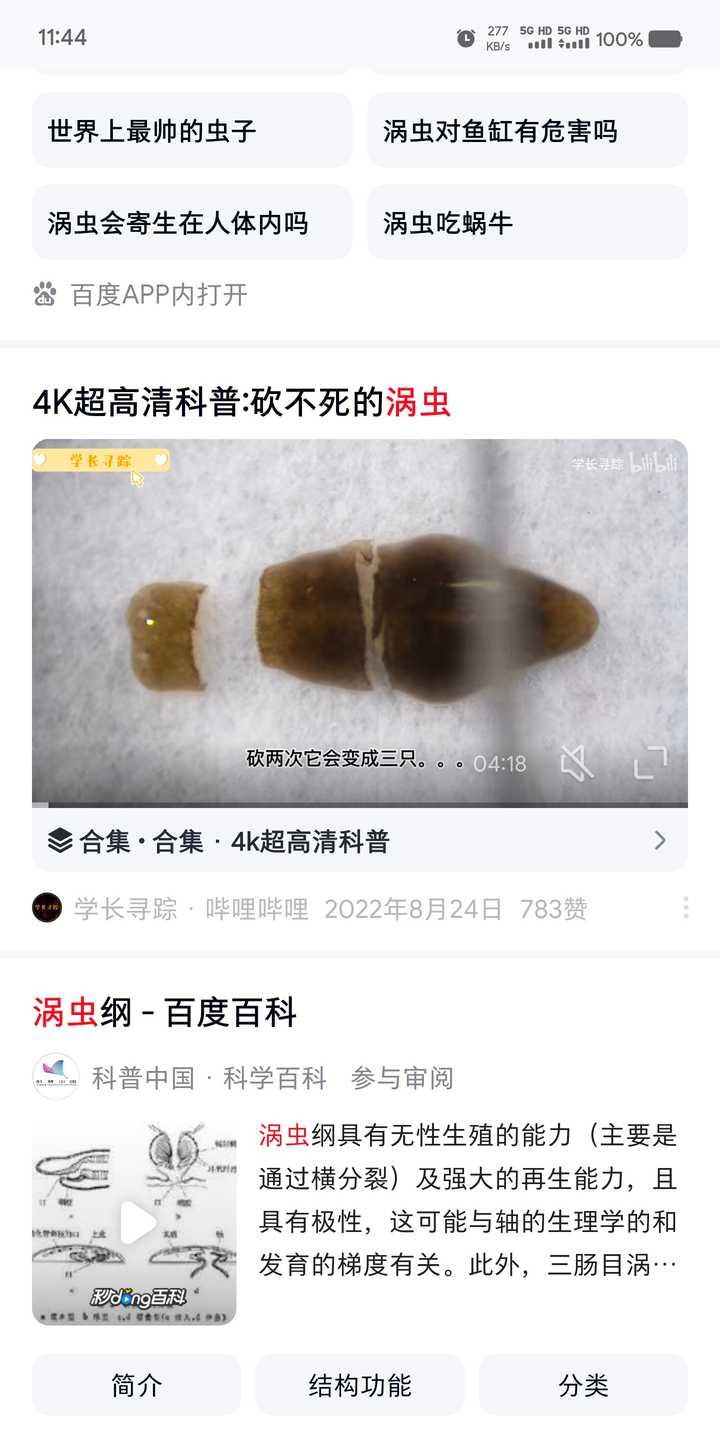 鱼缸很多微小的虫子在水底快速游动，怎么预防和处理？