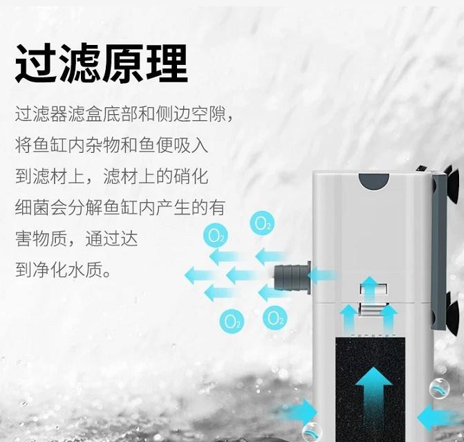 鱼缸里的鱼粪，怎么处理？