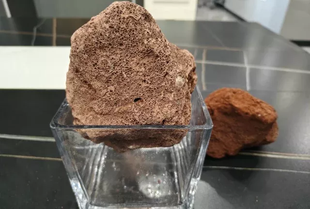 草缸观察日记｜迷你生态鱼缸材料清单和教程 