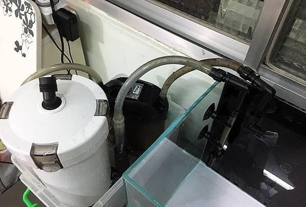 新手入门：从零开始的水草缸设缸教学！
