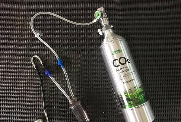 新手入门：从零开始的水草缸设缸教学！