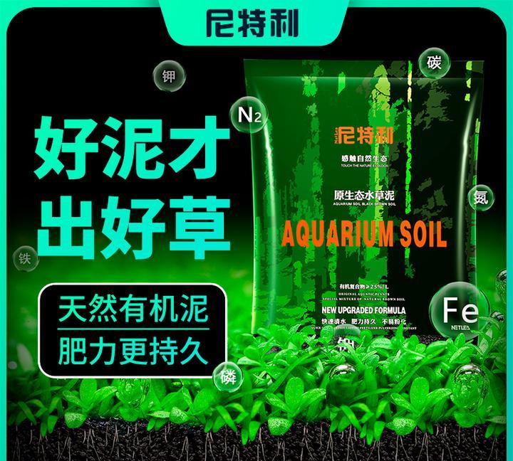新手入门：从零开始的水草缸设缸教学！