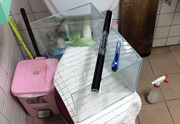 新手入门：从零开始的水草缸设缸教学！