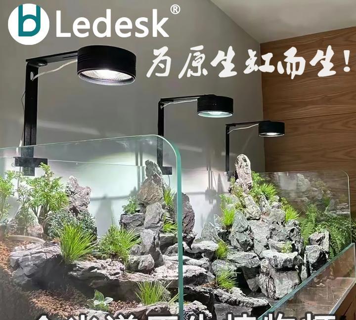 新手入门：从零开始的水草缸设缸教学！