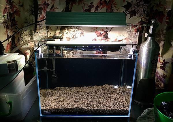 新手入门：从零开始的水草缸设缸教学！