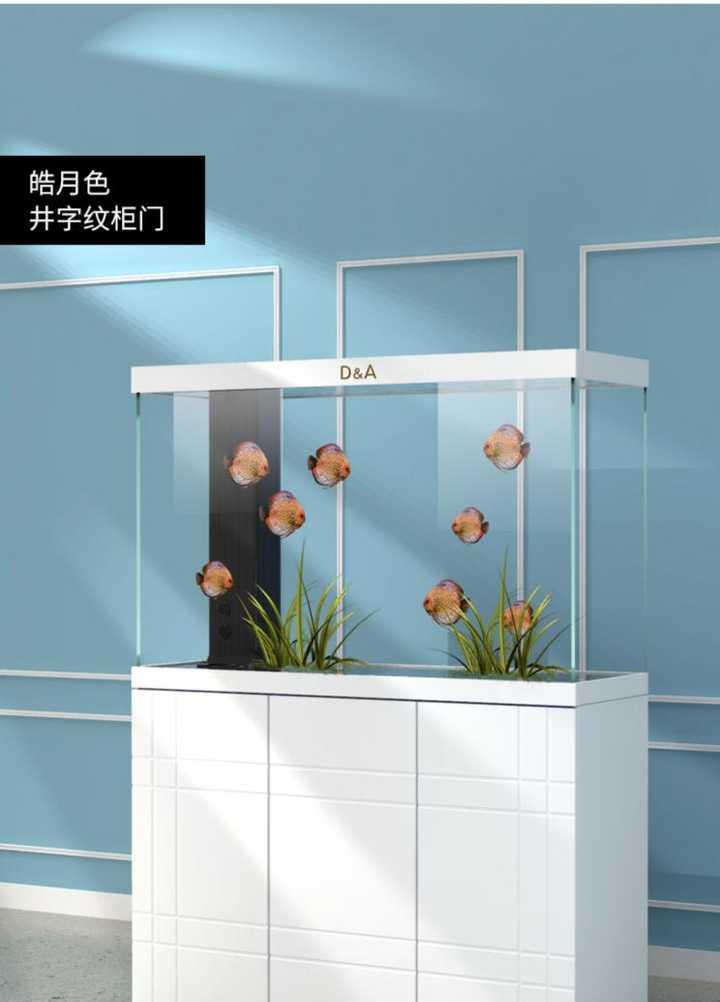 有没有看一眼就能让你迷住的鱼缸?