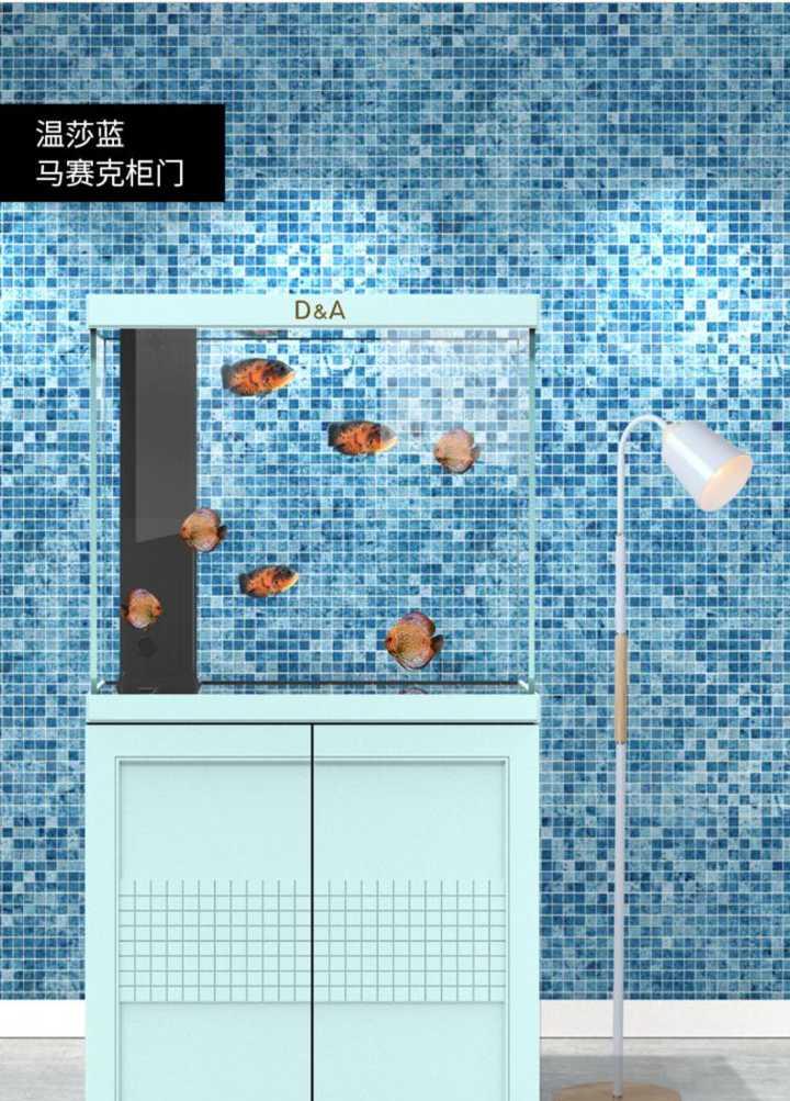 有没有看一眼就能让你迷住的鱼缸?