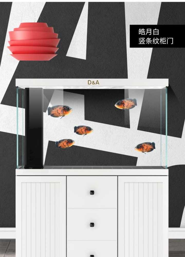 有没有看一眼就能让你迷住的鱼缸?