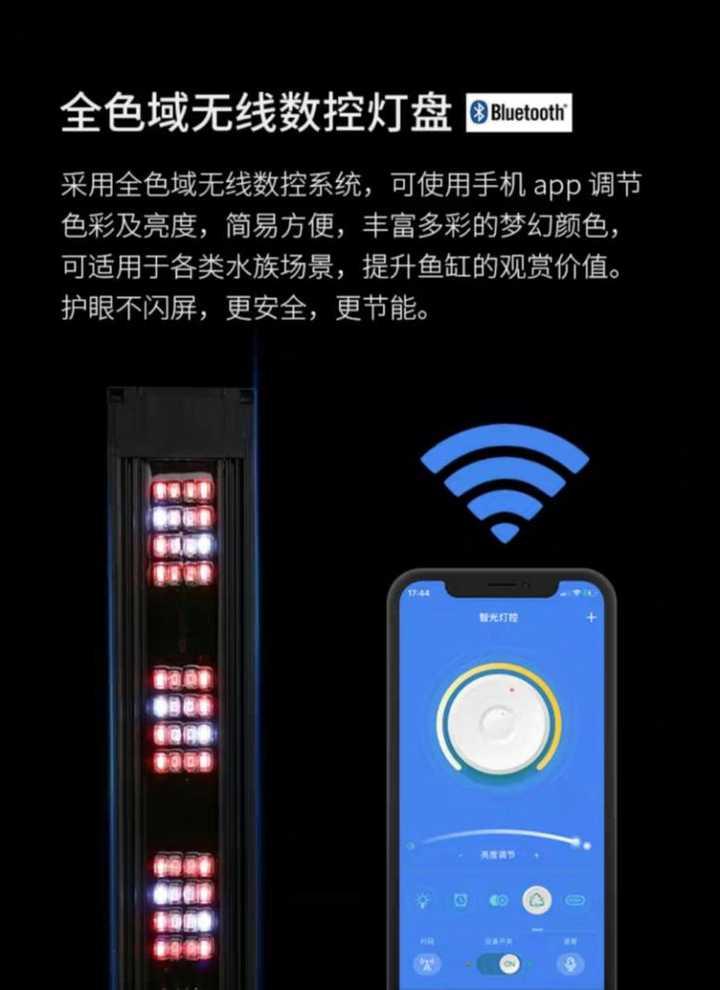 有没有看一眼就能让你迷住的鱼缸?