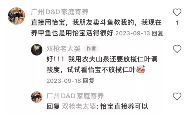 斗鱼用什么水养才好 