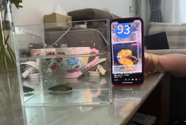 直播间买鱼需谨慎，看到实物的那一刻…… 