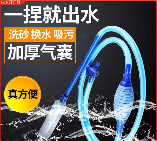 养鱼入坑 