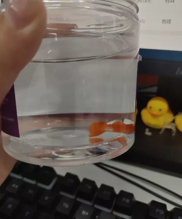 给新手朋友制作了实用的孔雀鱼状态图鉴 