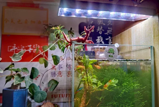 宿舍三无缸  教程篇 