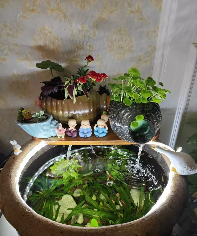 没错！养鱼的尽头真的就是裸缸！！🤔 