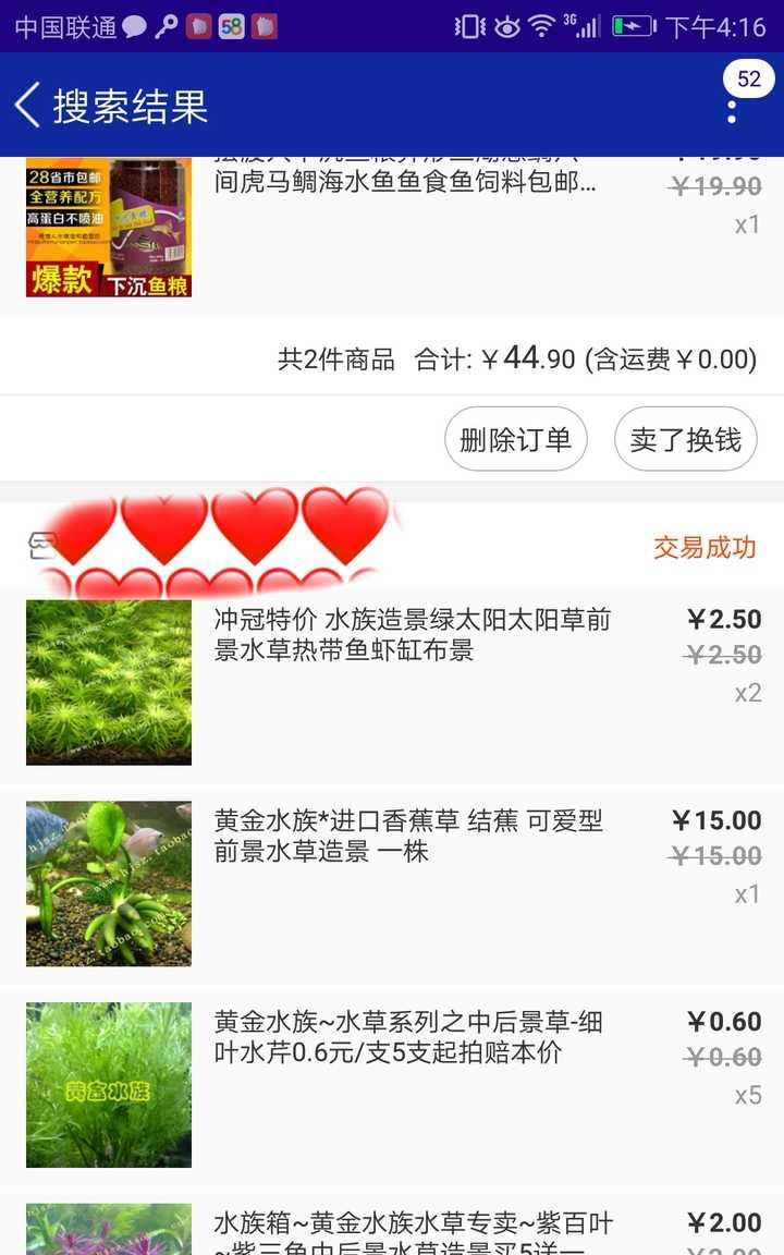 热带鱼，观赏鱼，新手入坑？