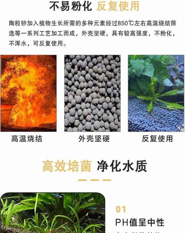 养的热带鱼每天都在死亡 求大神指点?