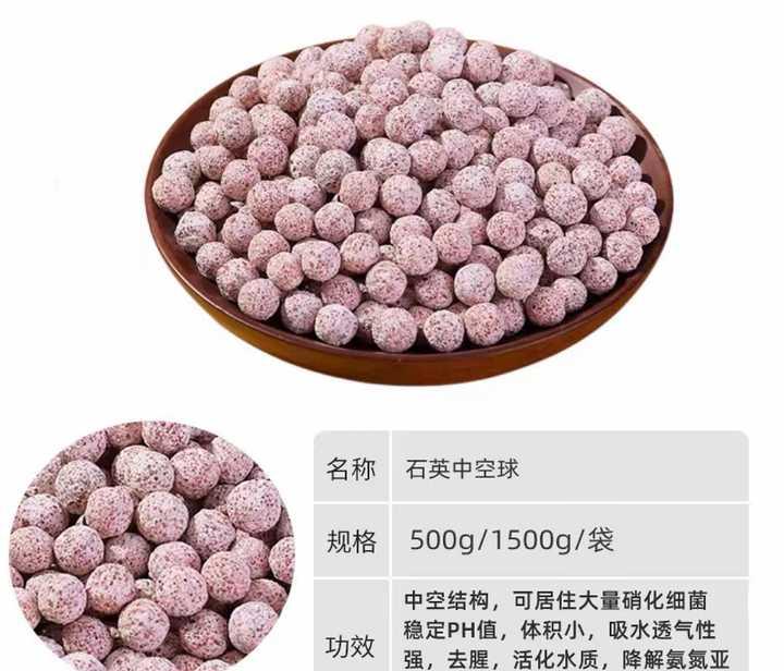 养的热带鱼每天都在死亡 求大神指点?