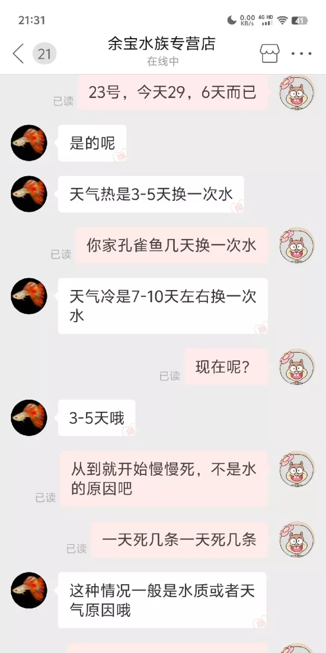 孔雀鱼🐠饲养指南‼️一篇笔记📝轻松掌握✅ 