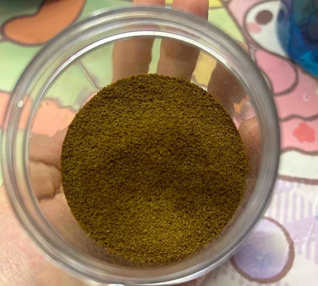 在宿舍养小鱼 