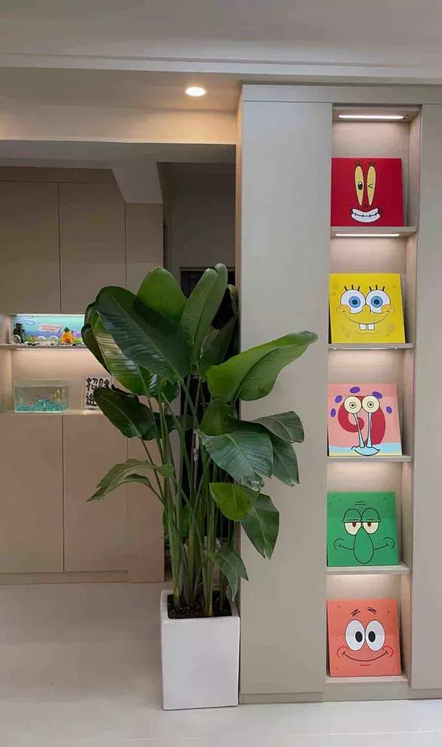 入户柜的迷你小缸 