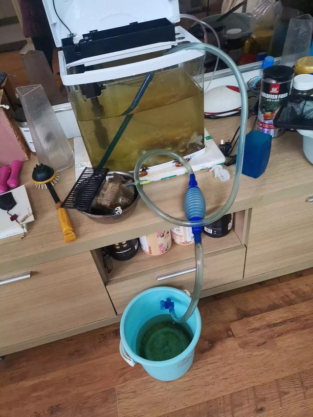 每个月清洗金鱼缸、给鱼缸换水一到两次-4.jpg