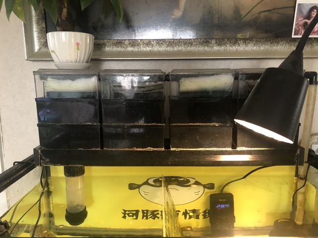 鱼缸过滤大全-4.jpg