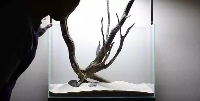 原生缸丨少了份绿色，多了份神秘感！-9.jpg
