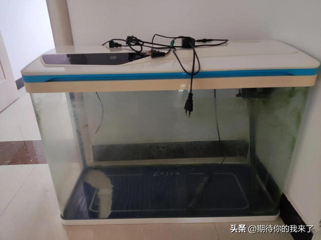 鱼缸-1.jpg