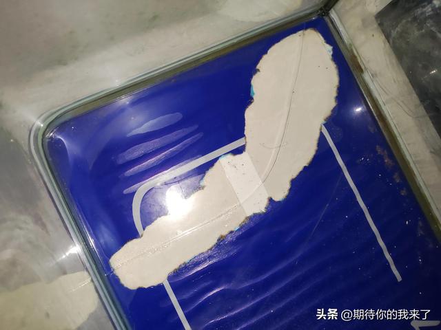 鱼缸-2.jpg