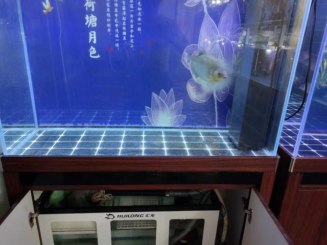 最容易控制水质的鱼缸，永远是没有过多限制、过多设备羁绊的鱼缸-4.jpg