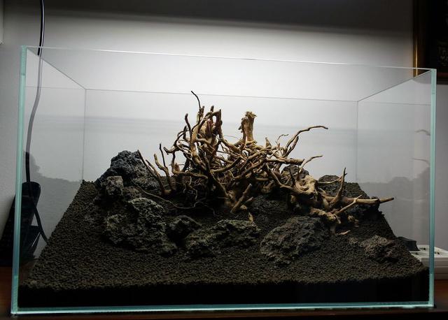 久违的水草缸，这样简单的素材，成景后心静如水，喜欢-1.jpg
