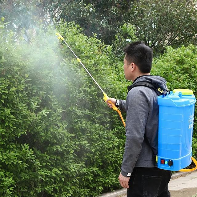印度土豪4米水草缸造景实录，整缸阴性草-7.jpg