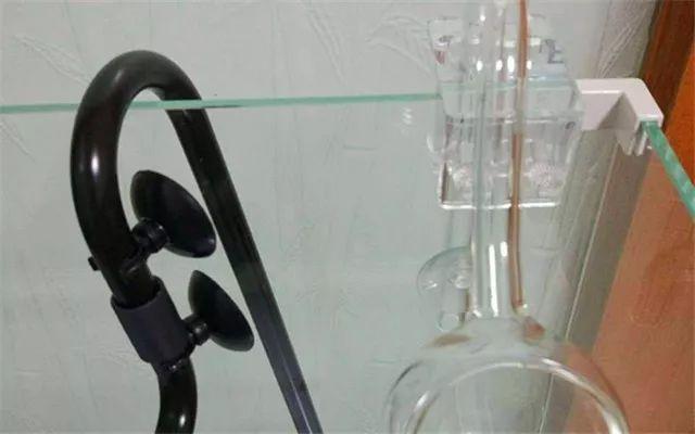 一个完整到爆的草缸配置~-11.jpg