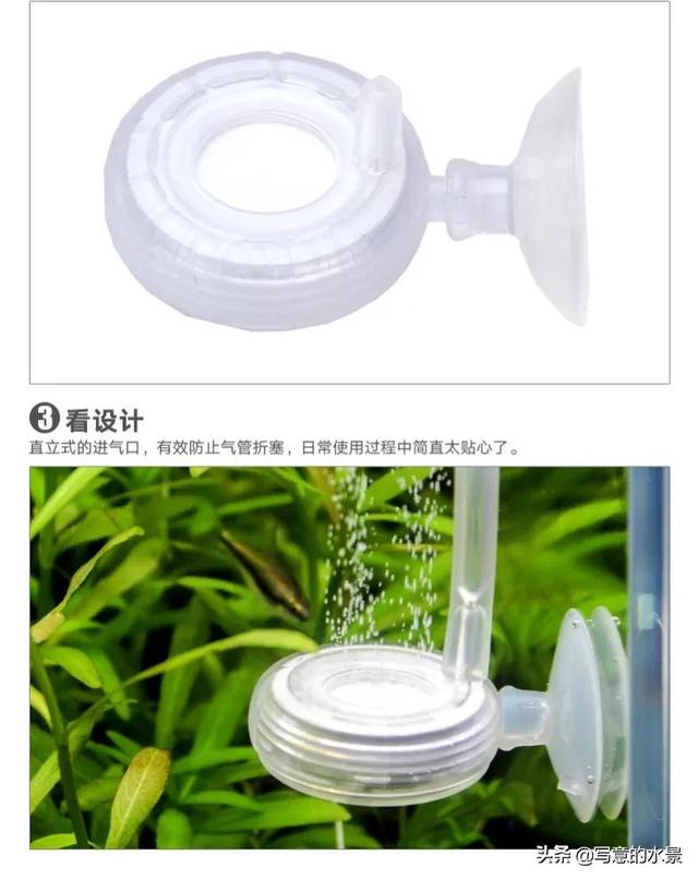 水草缸一定要有二氧化碳？鱼缸造景十四：二氧化碳-6.jpg