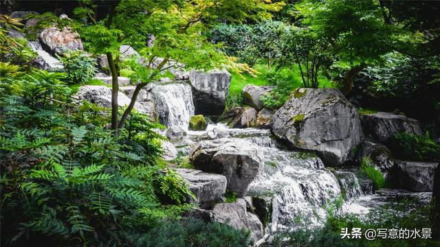 水草缸一定要有二氧化碳？鱼缸造景十四：二氧化碳-2.jpg