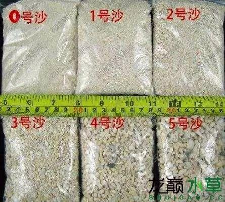 你会给你的缸“化妆”吗~-19.jpg