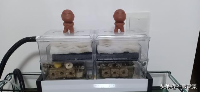 漂亮的水草缸掌握这几点，玩出好心情-5.jpg