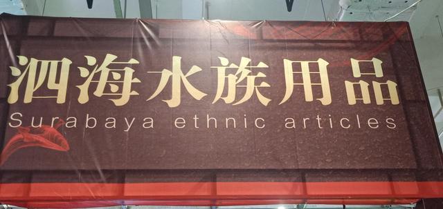 鱼缸的制作成本曝光-2.jpg