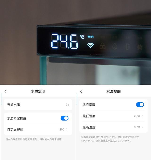 懒人也养鱼，当贝智能鱼缸让我年年有鱼-20.jpg