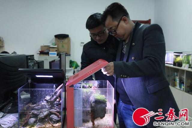 养鱼达人自创“懒人鱼缸”-1.jpg